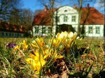 Foto: Jagdschloss Friedrichsmoor